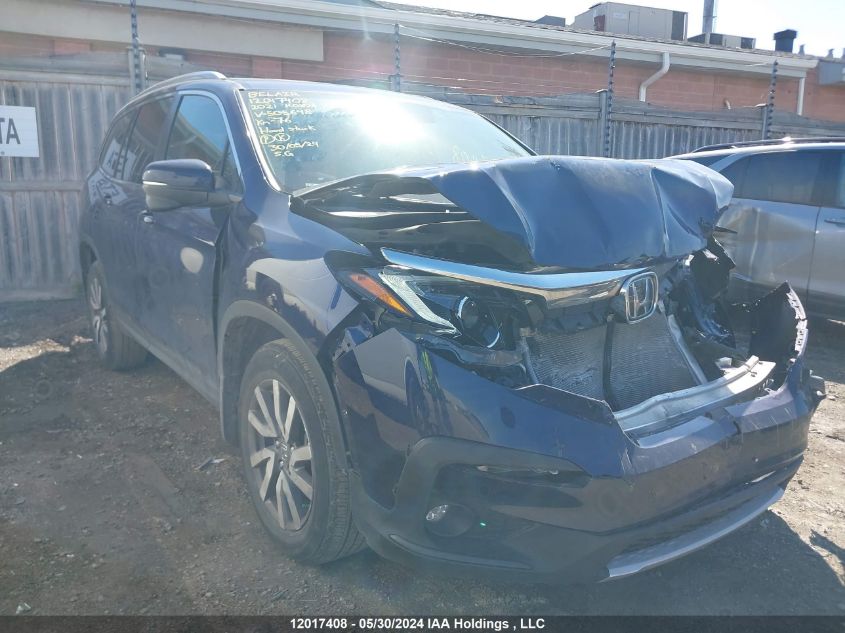 2021 Honda Pilot VIN: 5FNYF6H74MB505648 Lot: 12017408