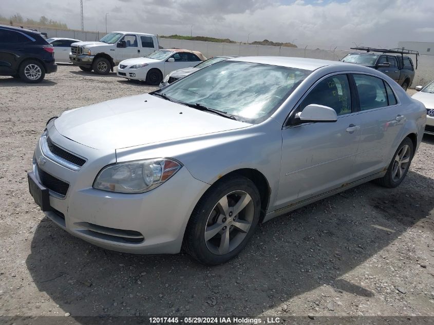 2011 Chevrolet Malibu VIN: 1G1ZC5EU9BF314424 Lot: 12017445