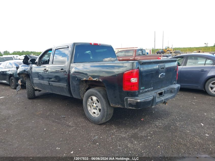 2010 Chevrolet Silverado 1500 VIN: 3GCRCSEA7AG223693 Lot: 12017533