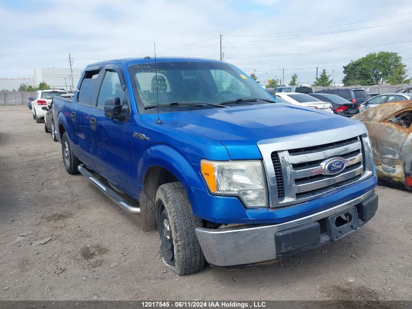 2010 Ford F-150 VIN: 1FTEW1C82AFA34645 Lot: 12017545