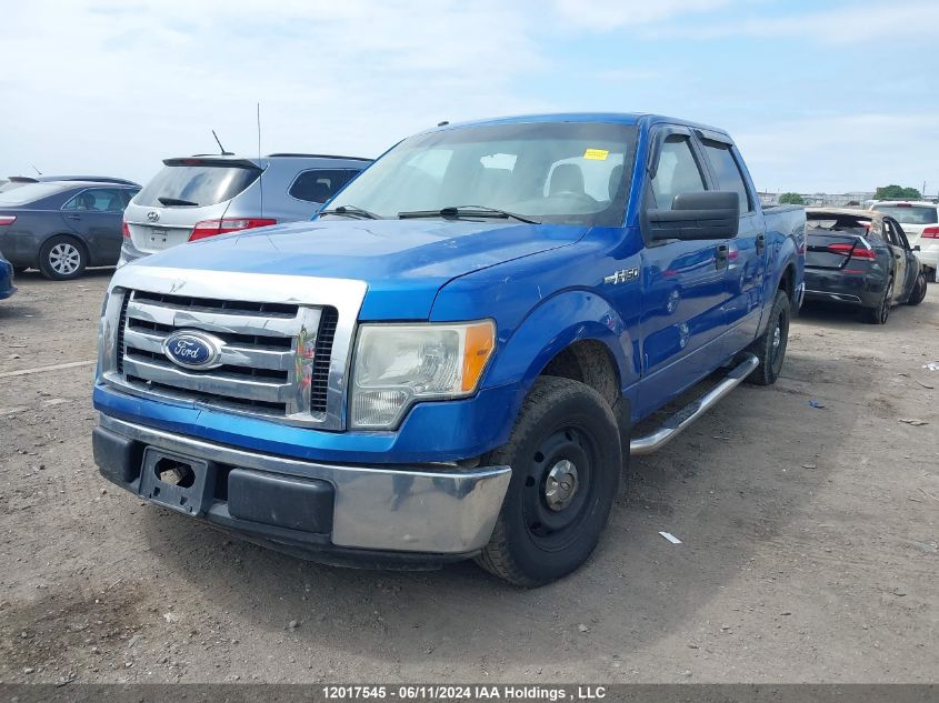 2010 Ford F-150 VIN: 1FTEW1C82AFA34645 Lot: 12017545