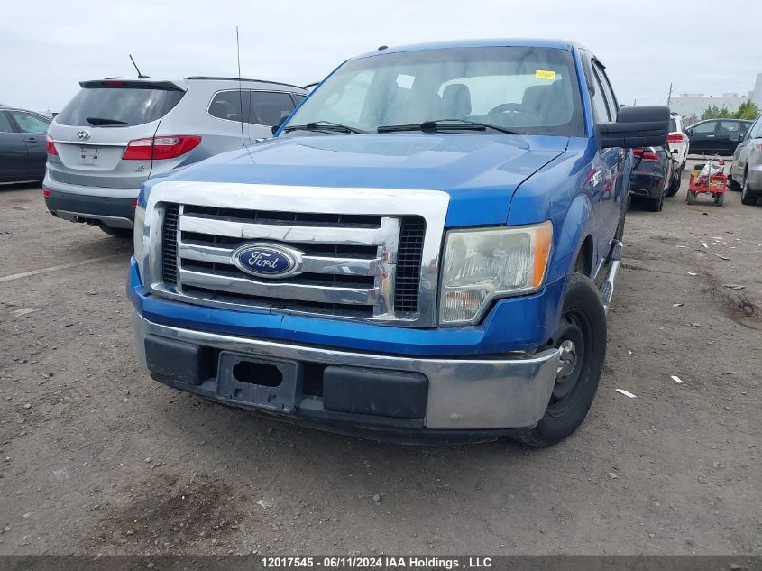 2010 Ford F-150 VIN: 1FTEW1C82AFA34645 Lot: 12017545