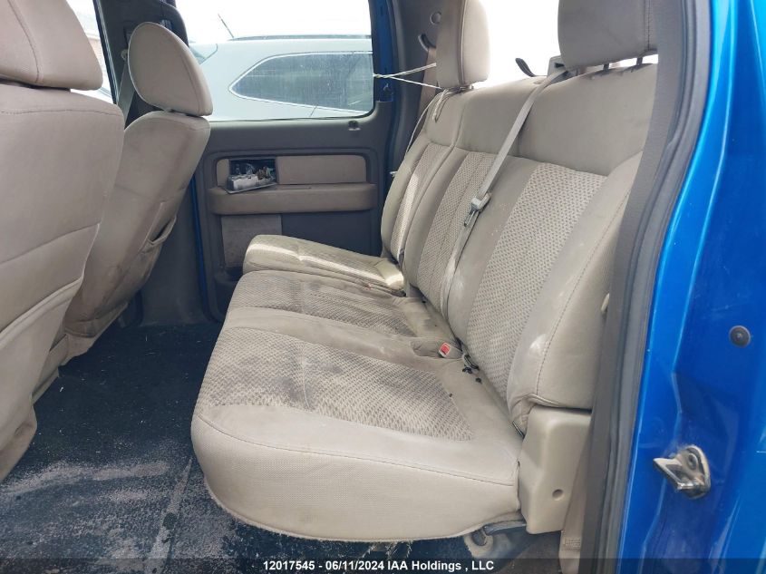 2010 Ford F-150 VIN: 1FTEW1C82AFA34645 Lot: 12017545