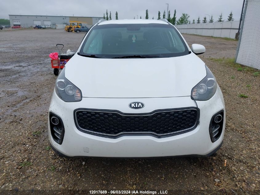 2019 Kia Sportage Lx VIN: KNDPMCAC5K7571216 Lot: 12017689
