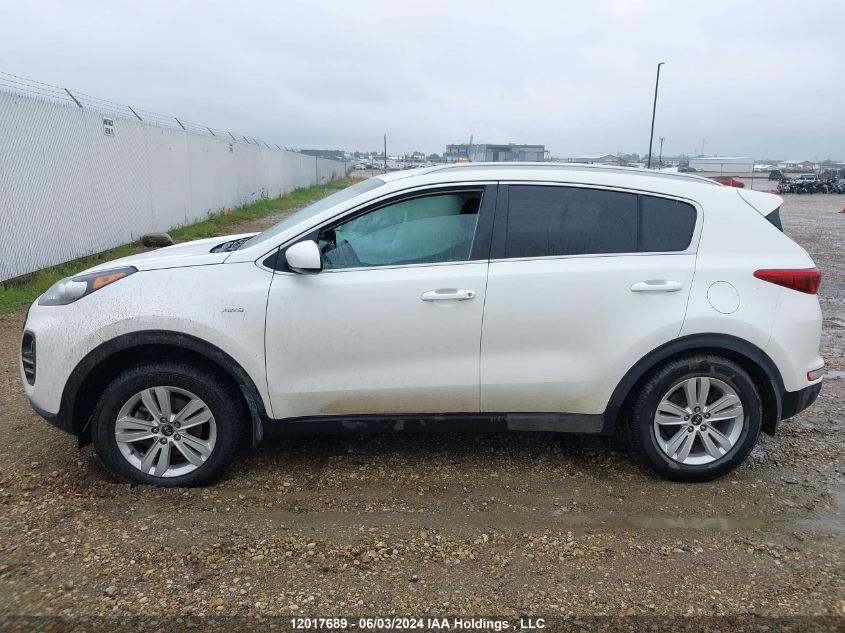 2019 Kia Sportage Lx VIN: KNDPMCAC5K7571216 Lot: 12017689