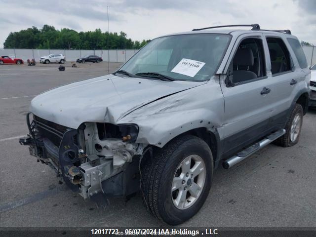 2006 Ford Escape VIN: 1FMYU93186KA20795 Lot: 12017723