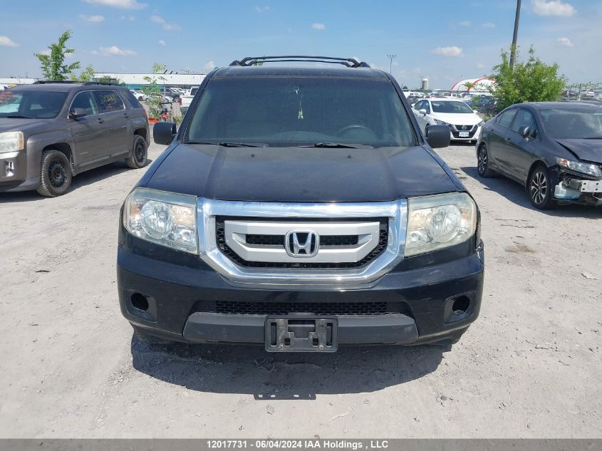 2011 Honda Pilot VIN: 5FNYF4H28BB503729 Lot: 12017731