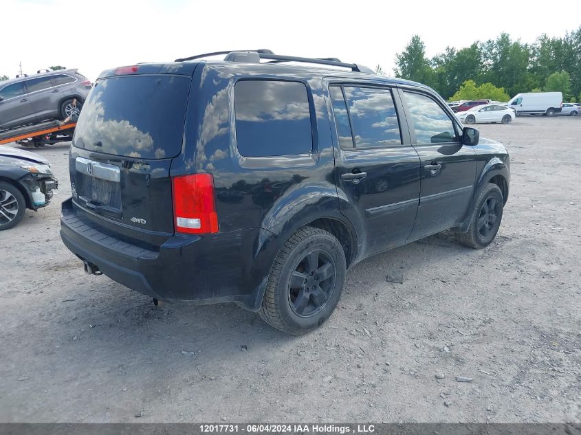 2011 Honda Pilot VIN: 5FNYF4H28BB503729 Lot: 12017731