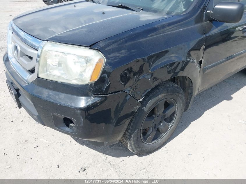 2011 Honda Pilot VIN: 5FNYF4H28BB503729 Lot: 12017731