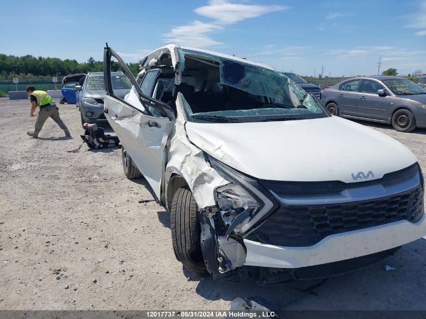 2023 Kia Sportage VIN: KNDPUCAFXP7171878 Lot: 12017737