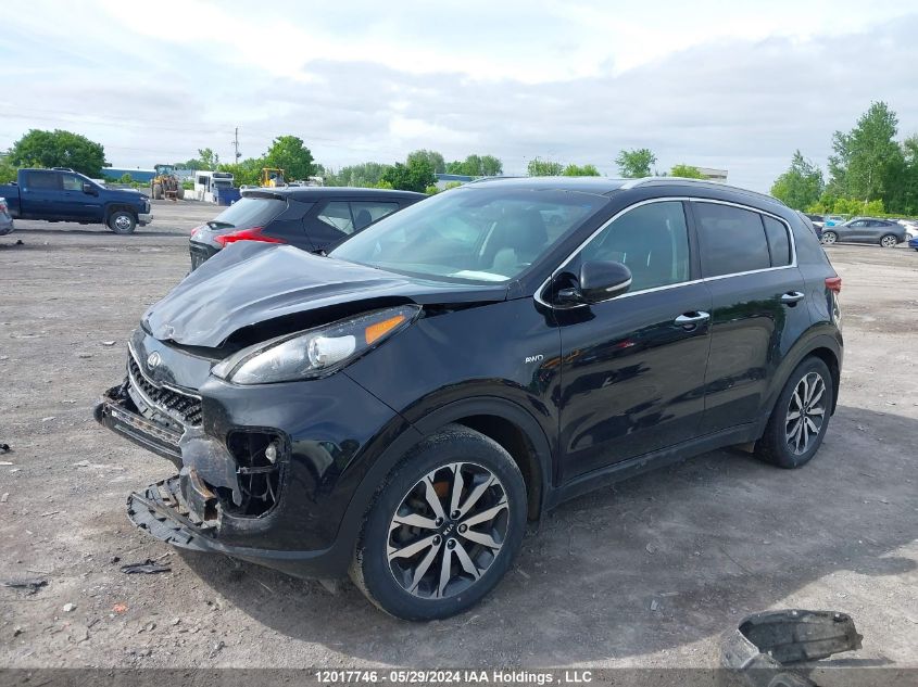 2018 Kia Sportage VIN: KNDPNCAC7J7338062 Lot: 12017746