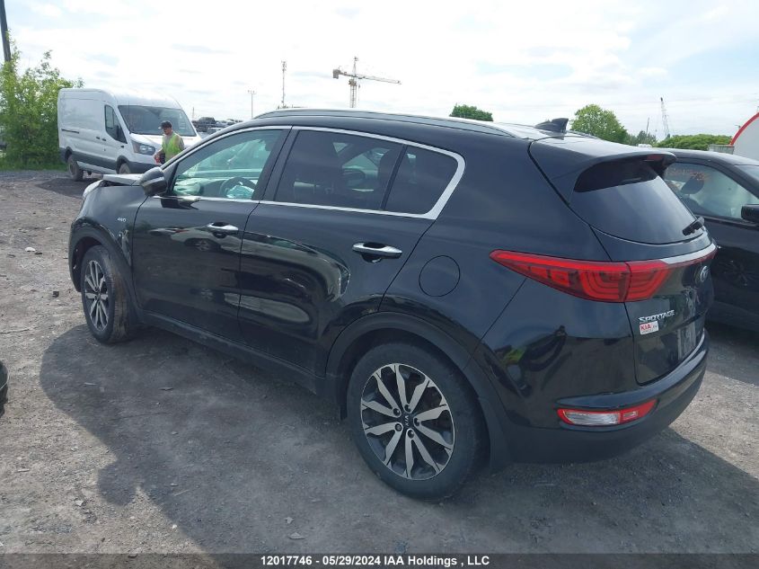 2018 Kia Sportage VIN: KNDPNCAC7J7338062 Lot: 12017746