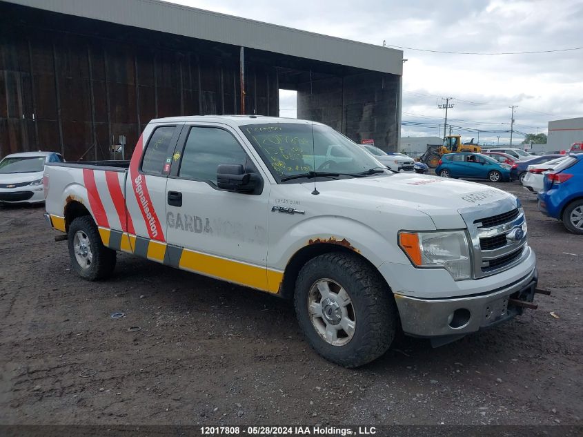 2013 Ford F150 Super Cab VIN: 1FTFX1CF5DFD85599 Lot: 12017808