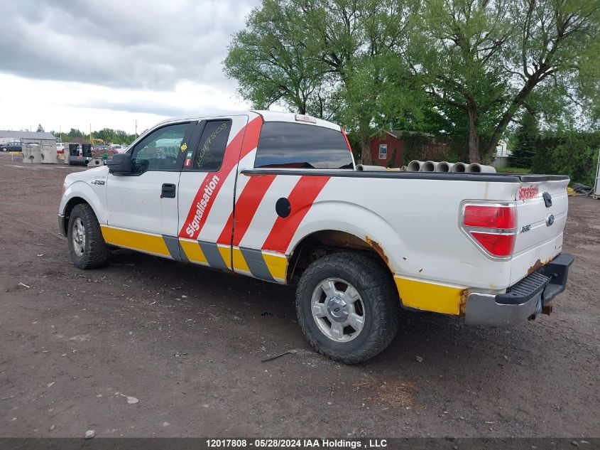 2013 Ford F150 Super Cab VIN: 1FTFX1CF5DFD85599 Lot: 12017808