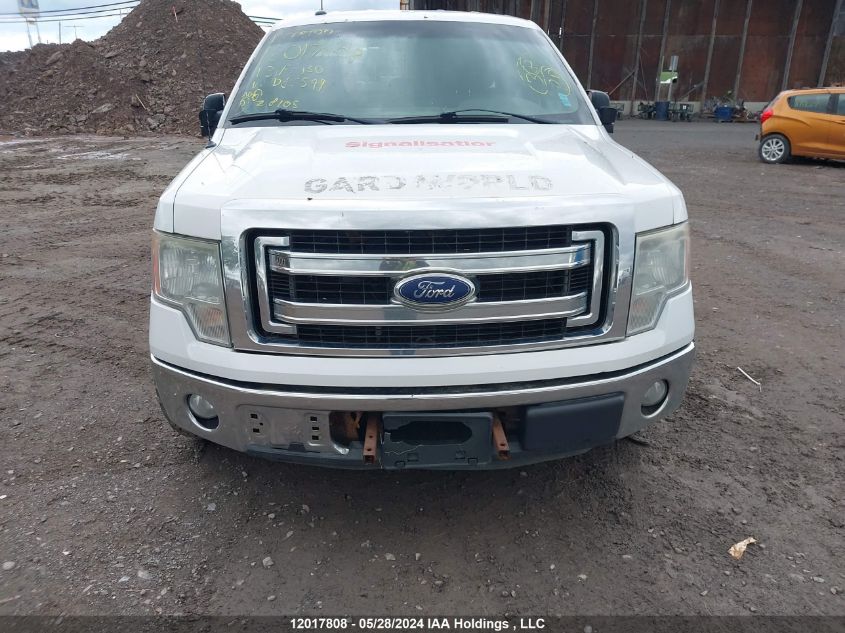 2013 Ford F150 Super Cab VIN: 1FTFX1CF5DFD85599 Lot: 12017808