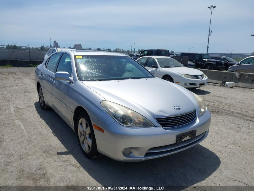 2006 Lexus Es 330 VIN: JTHBA30G365167399 Lot: 12017851