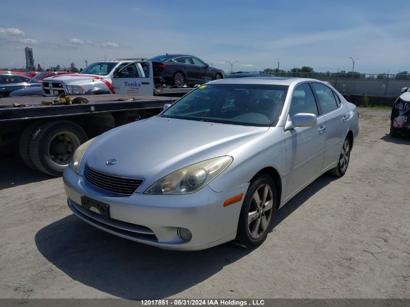 2006 Lexus Es 330 VIN: JTHBA30G365167399 Lot: 12017851