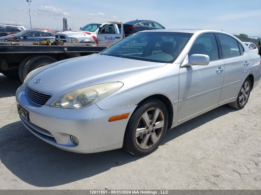 2006 Lexus Es 330 VIN: JTHBA30G365167399 Lot: 12017851