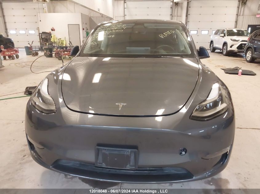 2022 Tesla Model Y VIN: 7SAYGDEEXNF562560 Lot: 12018048