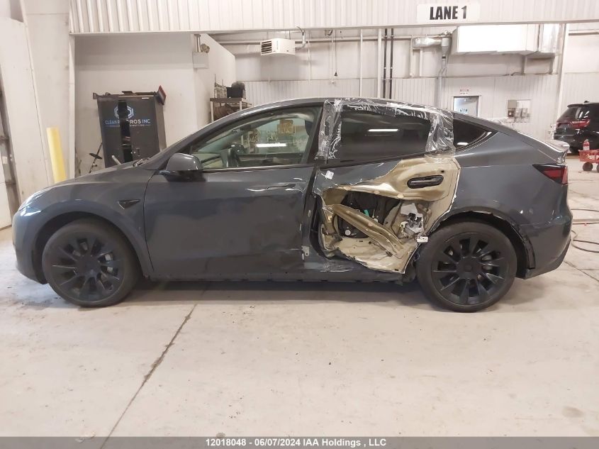 2022 Tesla Model Y VIN: 7SAYGDEEXNF562560 Lot: 12018048