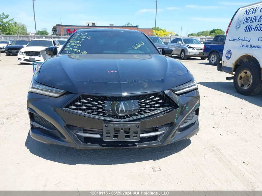 2021 Acura Tlx VIN: 19UUB6F5XMA801358 Lot: 12018115