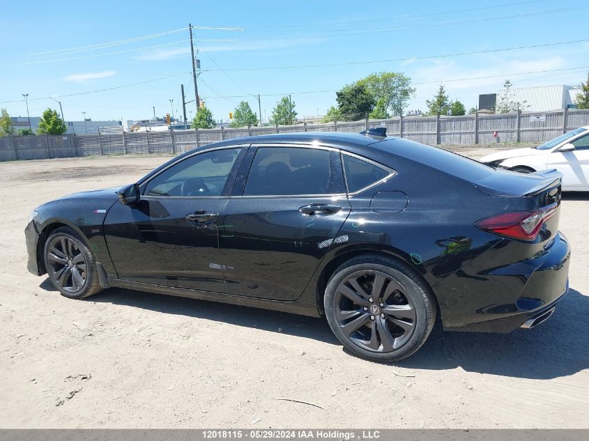 2021 Acura Tlx VIN: 19UUB6F5XMA801358 Lot: 12018115