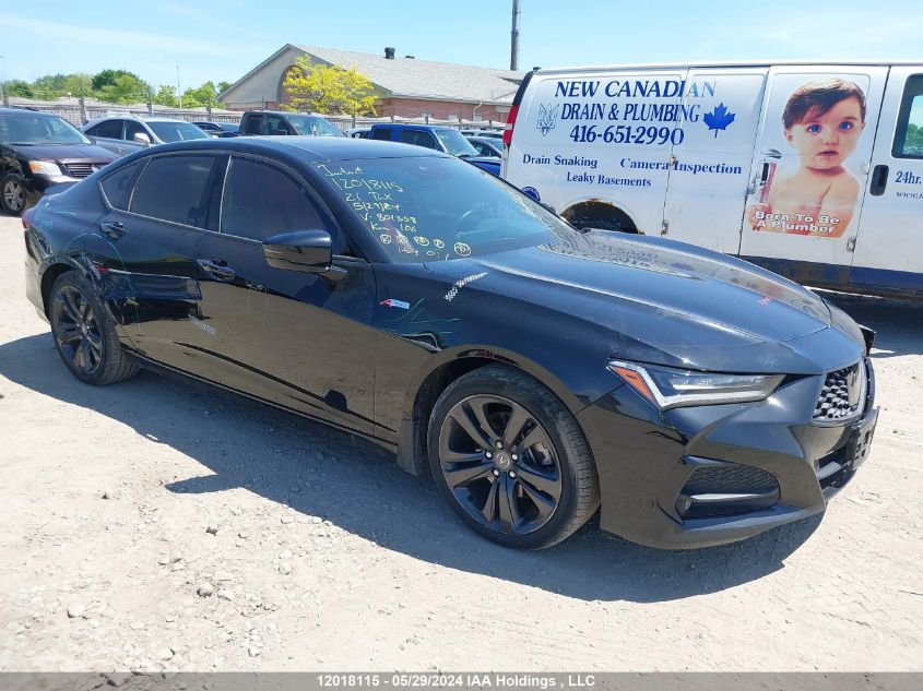 2021 Acura Tlx VIN: 19UUB6F5XMA801358 Lot: 12018115