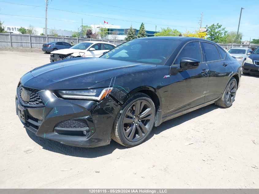 2021 Acura Tlx VIN: 19UUB6F5XMA801358 Lot: 12018115