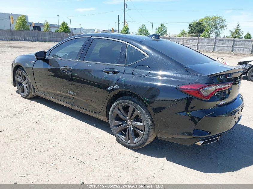 2021 Acura Tlx VIN: 19UUB6F5XMA801358 Lot: 12018115