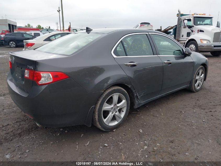 2009 Acura Tsx VIN: JH4CU26689C802153 Lot: 12018197