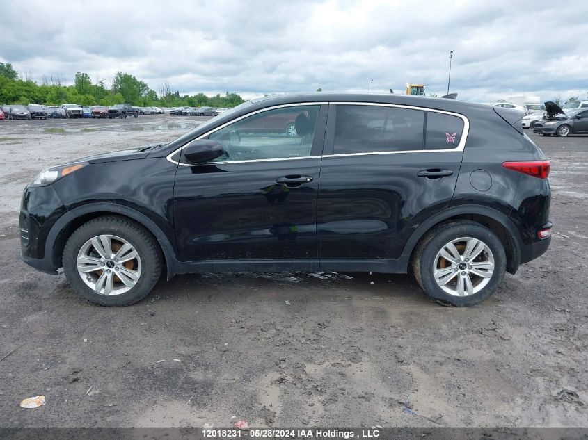 2019 Kia Sportage Lx VIN: KNDPM3AC1K7538780 Lot: 12018231
