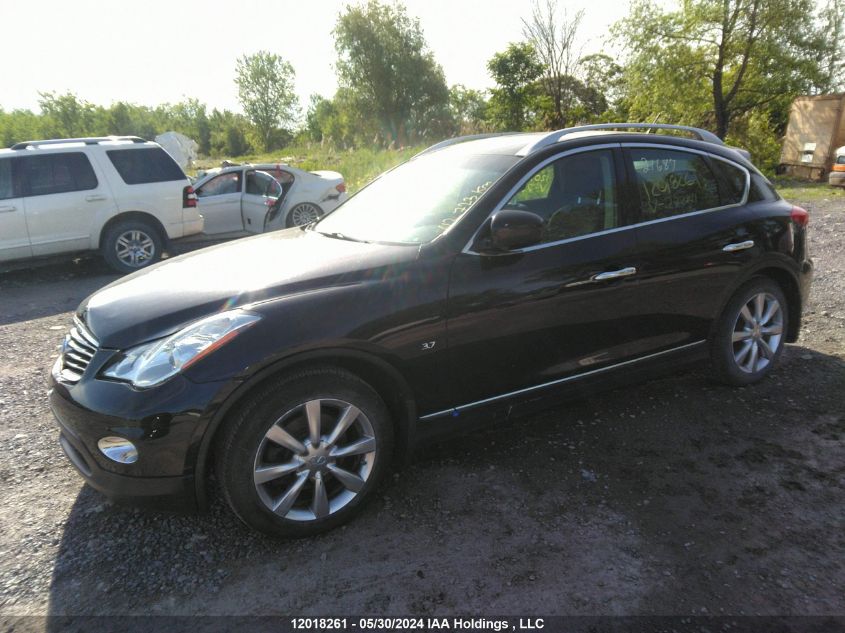 2015 Infiniti Qx50 VIN: JN1BJ0HR6FM773441 Lot: 12018261