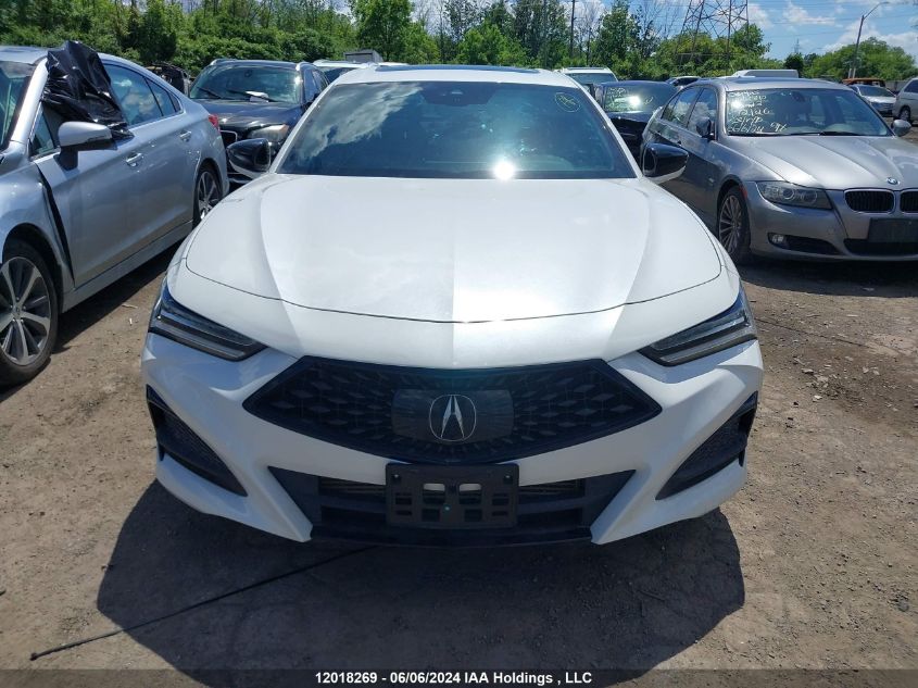 2022 Acura Tlx VIN: 19UUB6F51NA800620 Lot: 12018269