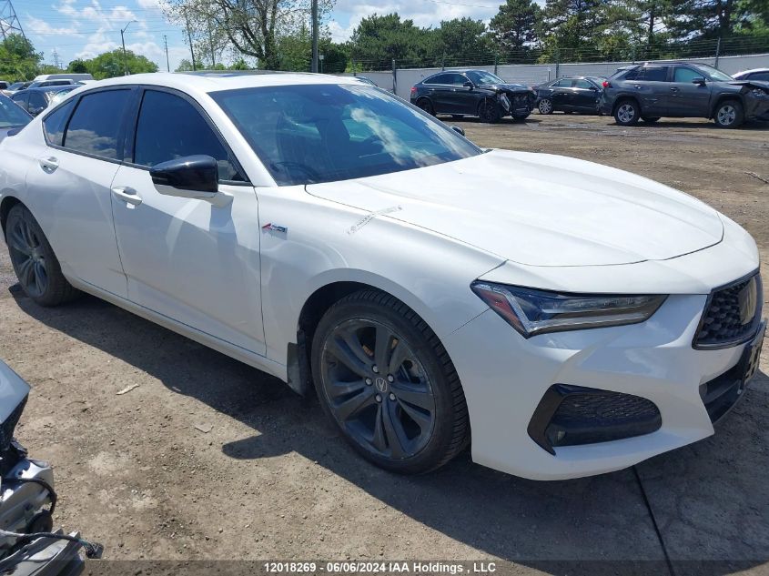 2022 Acura Tlx VIN: 19UUB6F51NA800620 Lot: 12018269