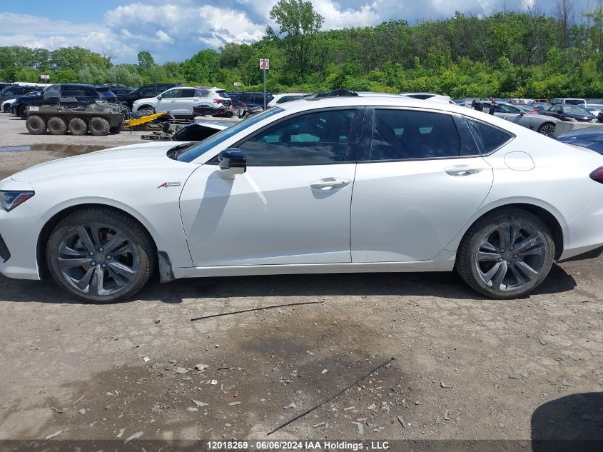 2022 Acura Tlx VIN: 19UUB6F51NA800620 Lot: 12018269