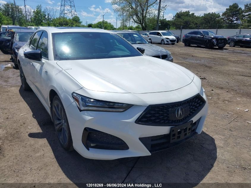 2022 Acura Tlx VIN: 19UUB6F51NA800620 Lot: 12018269