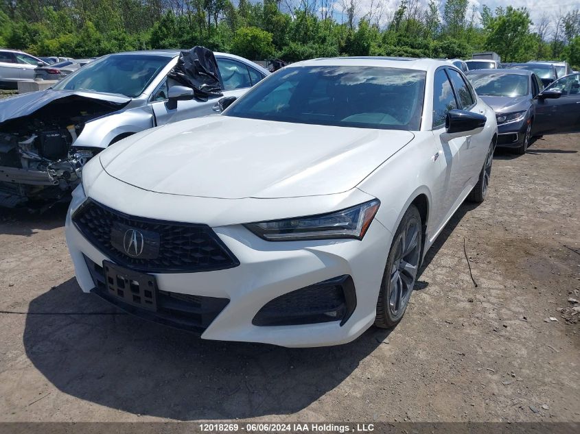 2022 Acura Tlx VIN: 19UUB6F51NA800620 Lot: 12018269