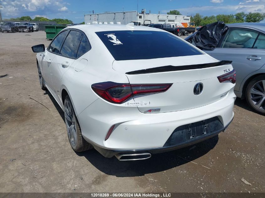 2022 Acura Tlx VIN: 19UUB6F51NA800620 Lot: 12018269