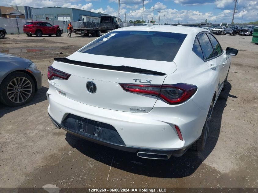 2022 Acura Tlx VIN: 19UUB6F51NA800620 Lot: 12018269