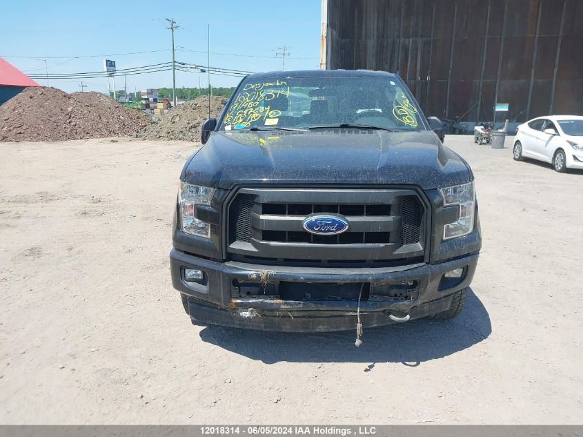 2017 Ford F150 VIN: 1FTMF1E81HFC47234 Lot: 12018314