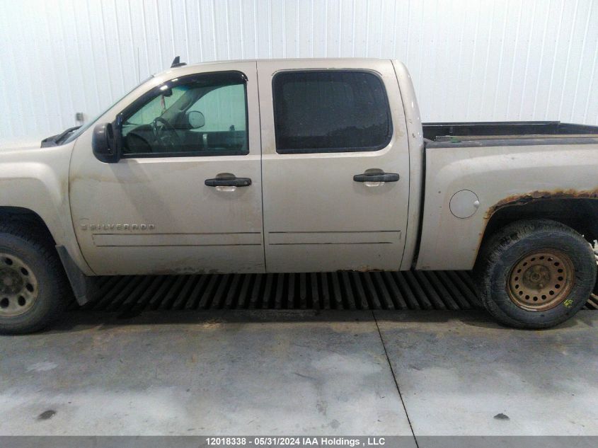 2009 Chevrolet Silverado 1500 VIN: 3GCEK13M99G178373 Lot: 12018338