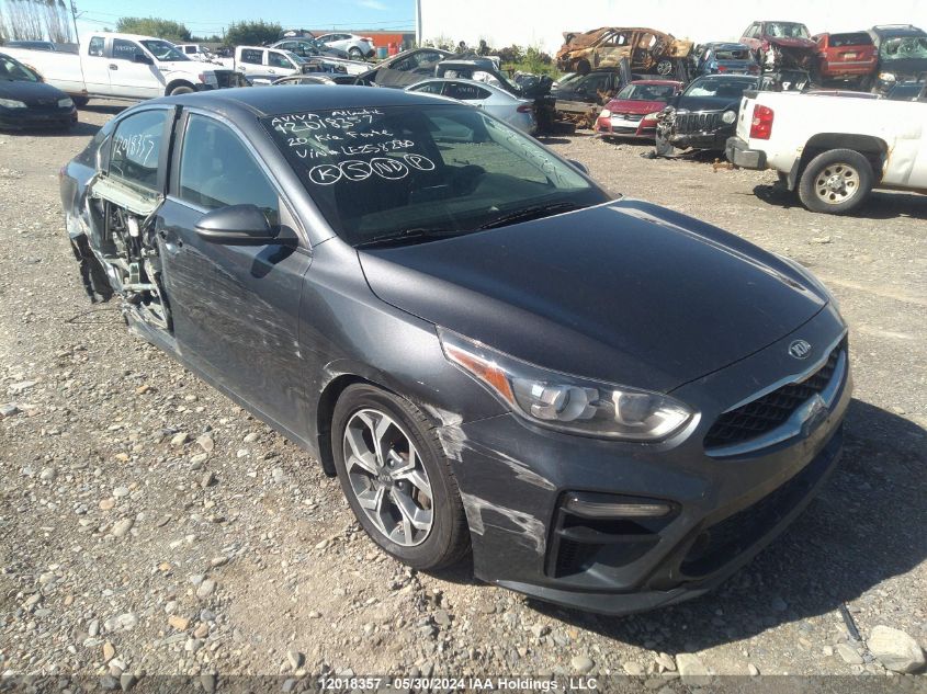 2020 Kia Forte VIN: 3KPF54AD4LE258280 Lot: 12018357