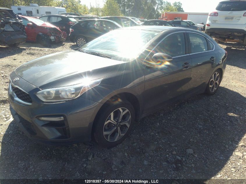 2020 Kia Forte VIN: 3KPF54AD4LE258280 Lot: 12018357