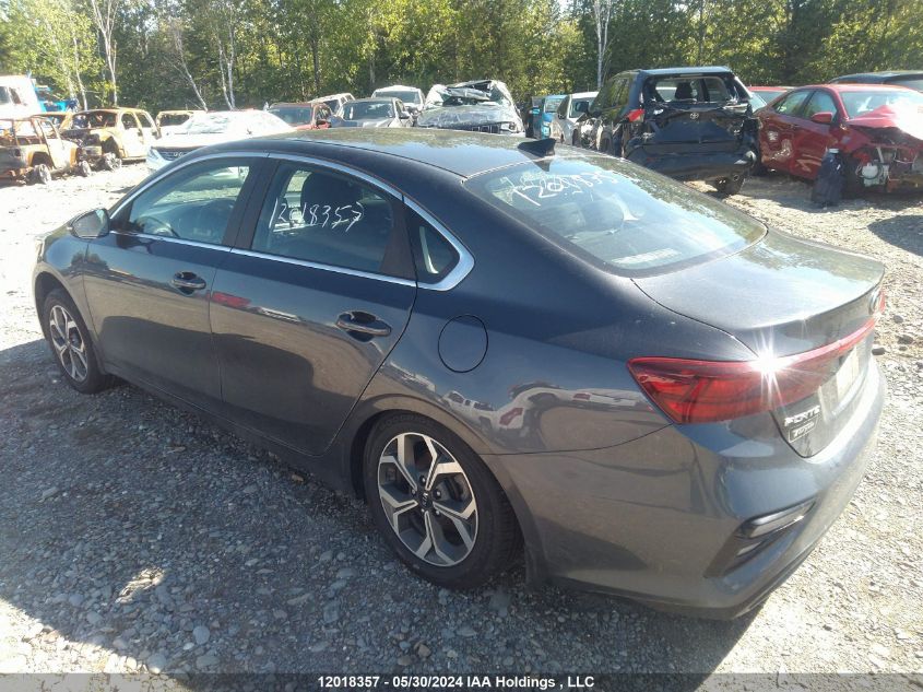 2020 Kia Forte VIN: 3KPF54AD4LE258280 Lot: 12018357