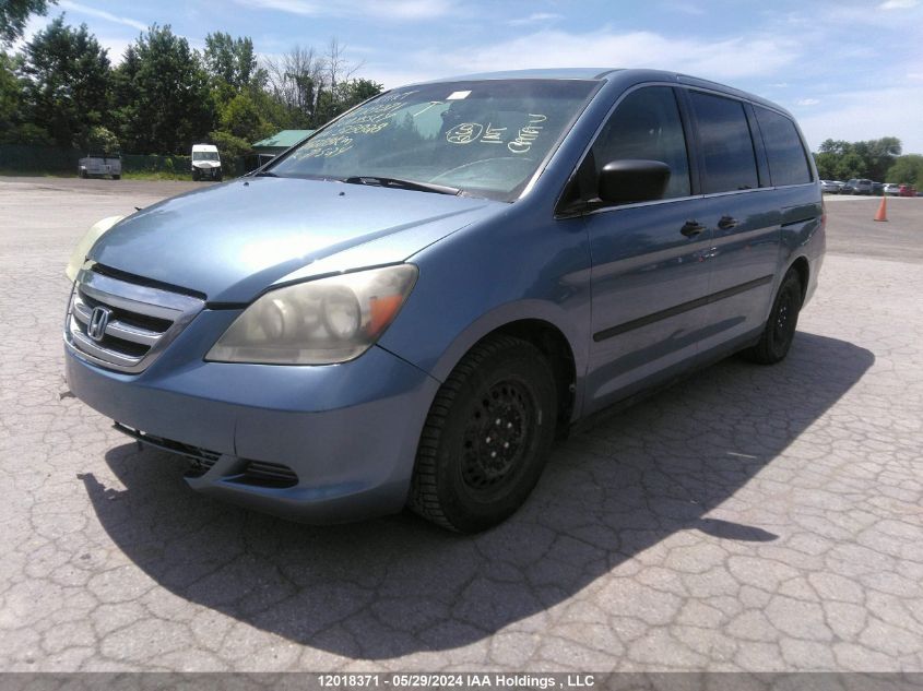 2007 Honda Odyssey VIN: 5FNRL38277B513828 Lot: 12018371