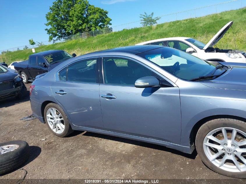 2010 Nissan Maxima S/Sv VIN: 1N4AA5AP6AC866589 Lot: 12018391