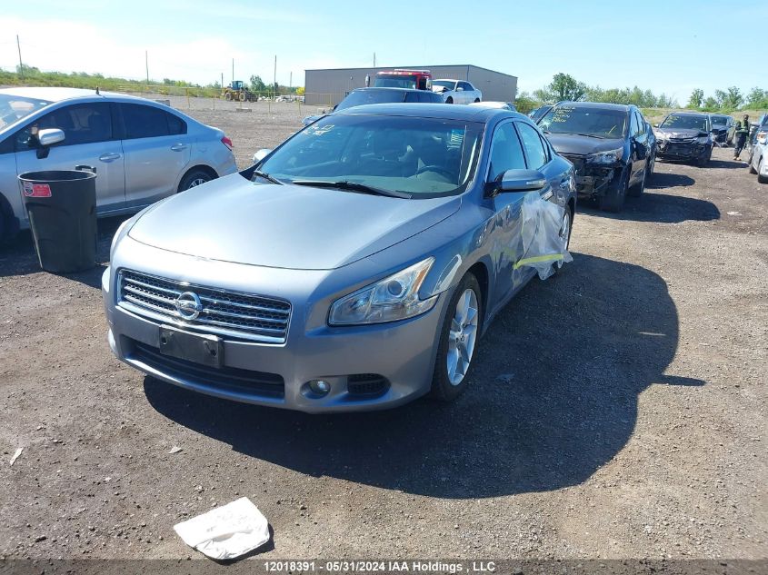 2010 Nissan Maxima S/Sv VIN: 1N4AA5AP6AC866589 Lot: 12018391