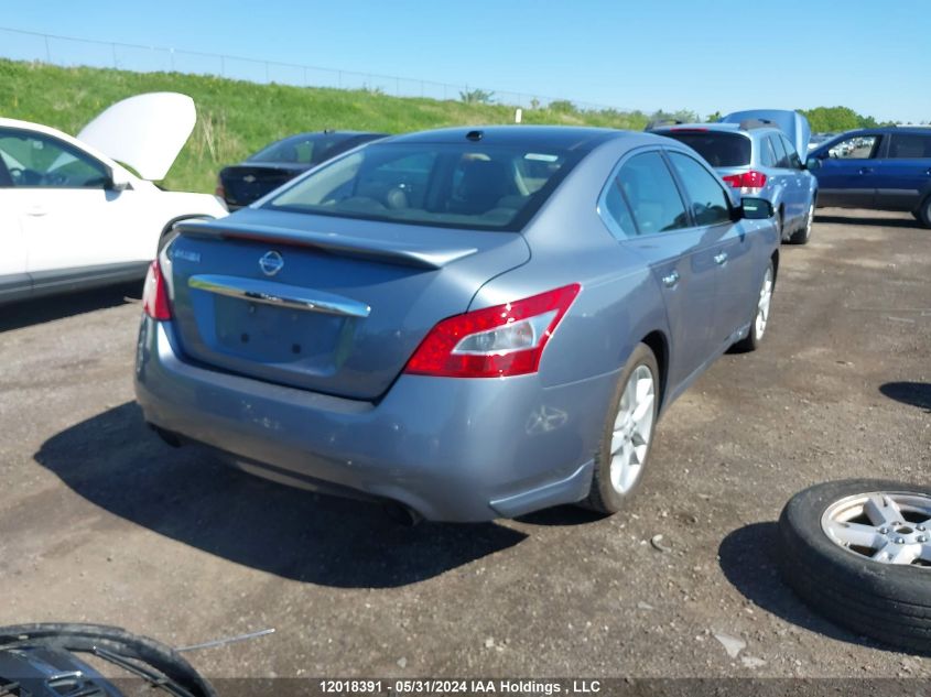 2010 Nissan Maxima S/Sv VIN: 1N4AA5AP6AC866589 Lot: 12018391