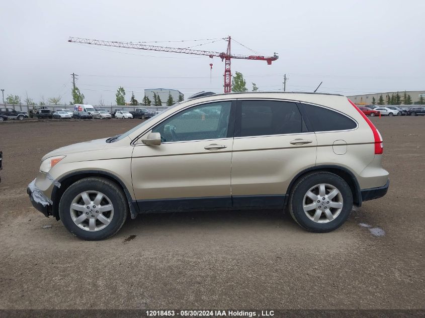 2007 Honda Cr-V VIN: 5J6RE48777L813369 Lot: 12018453