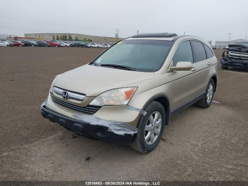 2007 Honda Cr-V VIN: 5J6RE48777L813369 Lot: 12018453